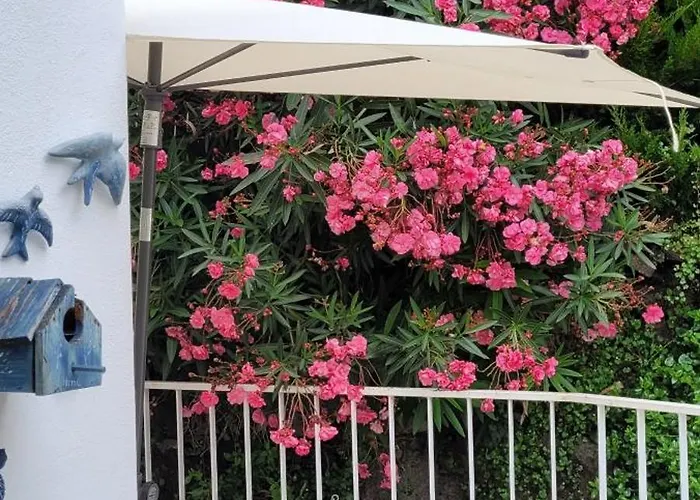 Red House By The River *